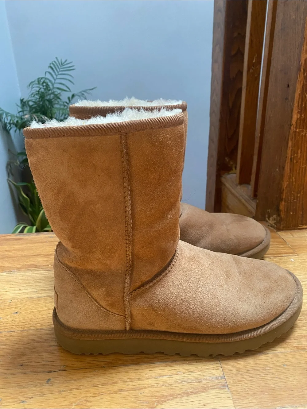 UGG Classic Short Boots - Chestnut Suede